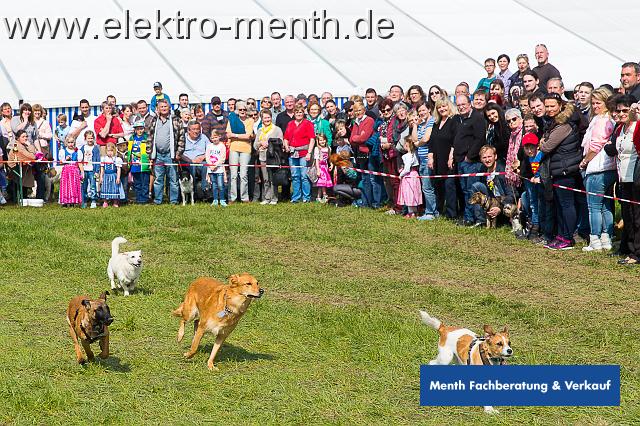 D - Foto Laudi Samstag -8106.JPG